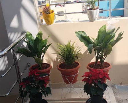 Screenshot 2026-02-06 112218