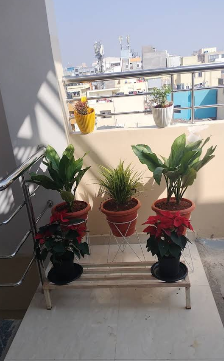 Screenshot 2026-02-06 112218